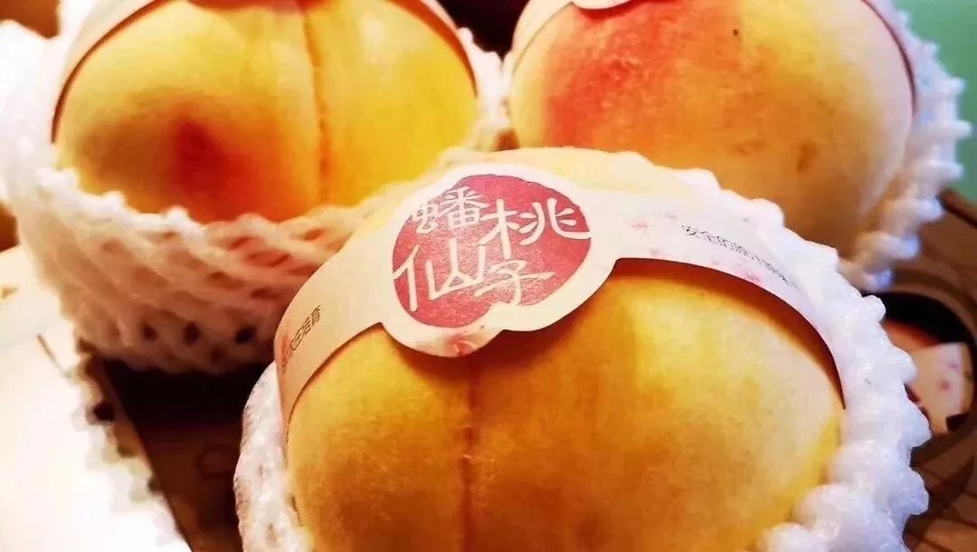 久久精品久久久久观看99水蜜桃:16-19-31-38-46-48Q：16,久久精品，探索无限可能的视觉盛宴与蜜桃般甜蜜的观影体验