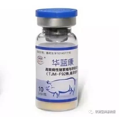 亚洲综合久久五月丁香:06-13-23-37-40-45M：40,亚洲综合久久五月丁香，探索与发现