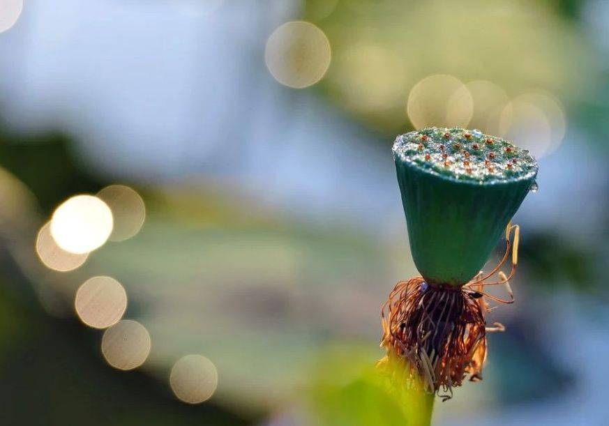 永久免费Av无码不卡在线观看 :04-19-28-37-41-47Y：02,探索永久免费高清无码在线观看，深度解析与体验分享