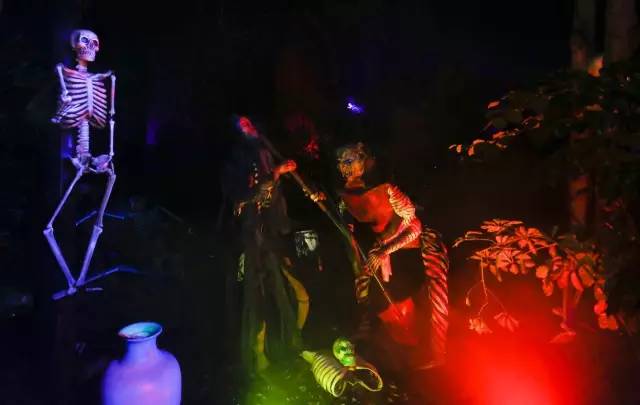 加勒比久久综合久久鬼色88:07-10-34-38-42-48C：24,加勒比久久综合探索，深入解析神秘数字串与鬼色的魅力