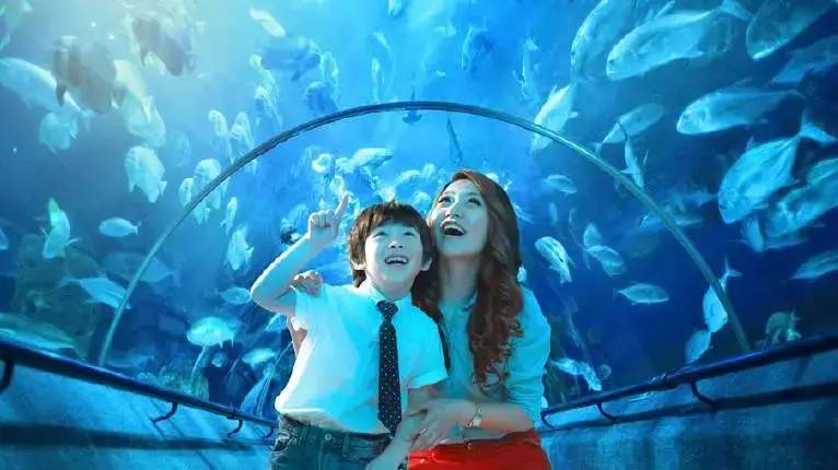 亚洲日韩亚洲另类激情文学:07-12-17-21-34-42F:47,亚洲日韩地区的另类激情文学,探索数字背后的故事与情感深度