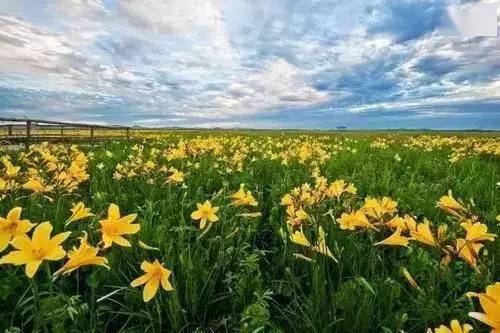 国产精品青草久久久久福利99:06-11-23-27-33-43P：18,国产精品青草久久久久福利，探索中国影视娱乐产业的独特魅力与无尽福利