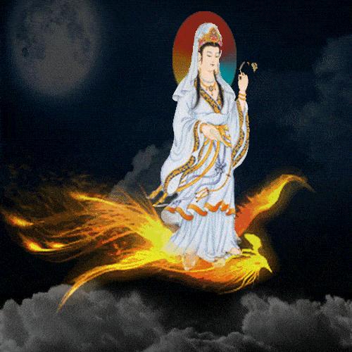 久久久精品免费:16-19-31-38-46-48Q：16,久久久精品免费，探索优质内容的无限可能