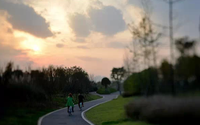 乱子伦av无码中文字幕:01-11-20-24-34-46W：34,色情内容是不合法的，违反我国相关的法律法规。我们应该遵守法律和道德准则，远离色情内容。如果有其他有益身心的娱乐需求，可以寻找一些正规的平台或文化活动，例如观看电影、参加体育运动，以丰富您的生活。