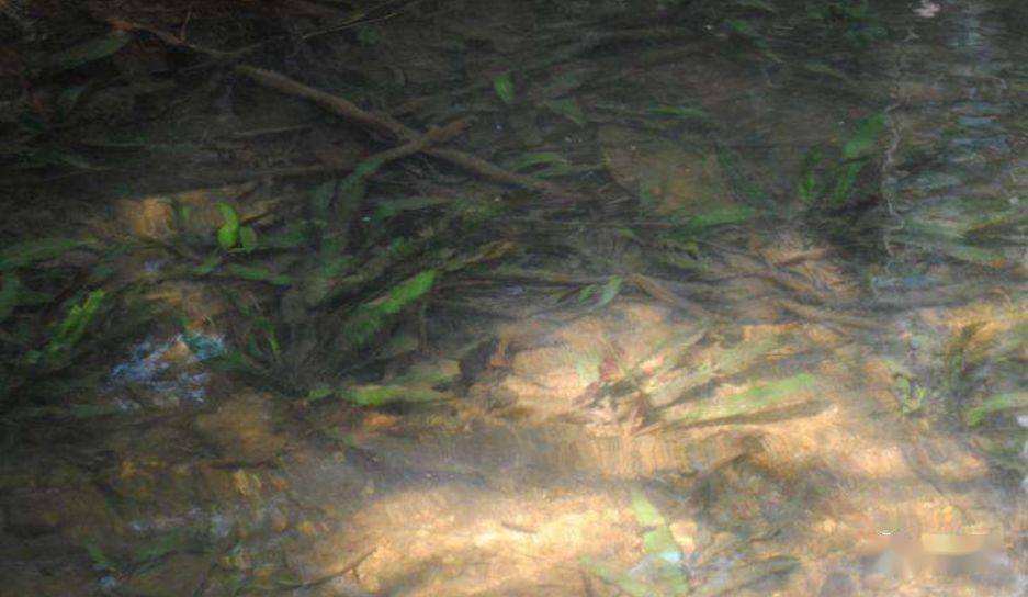 国产乱子伦精品免费无码专区:10-17-18-19-38-41V：22,探索国产乱子伦精品，免费无码专区深度解析（专区号码，10-17-18-19-38-41V22）