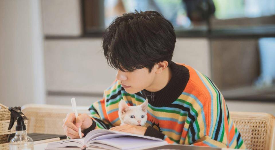 国产精品视频二区不卡:04-05-11-14-17-23R：26,国产精品视频二区流畅无阻，深度解析与体验报告（2023版）