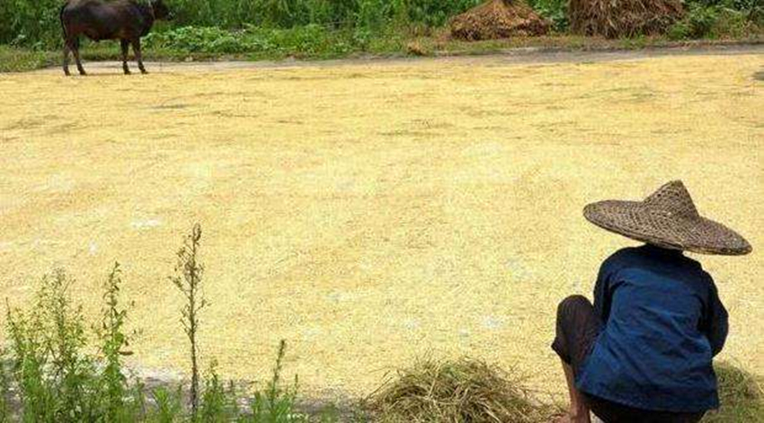 老熟妇乱子伦牲交视频:11-12-16-20-28-47M：27,老熟妇乱子伦牲交视频的探讨与反思（深度解析）