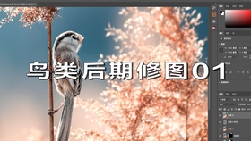 聚精会神 第4页