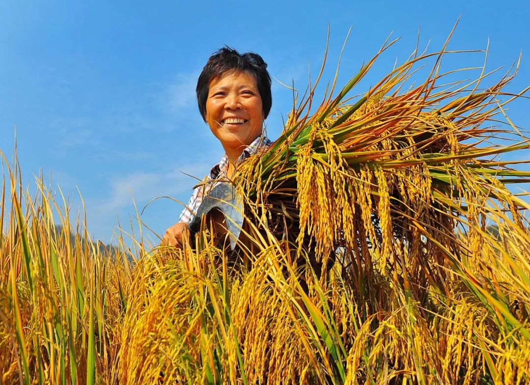 国产乱子伦农村xxxx:16-27-33-35-43-48X：38,国产乱子伦农村，探索与反思