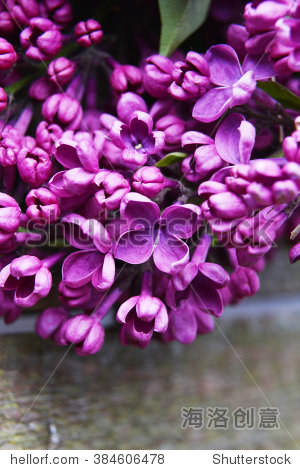 激情综合色五月丁香六月亚洲:14-19-21-35-40-43R：45,激情综合色，五月丁香与六月亚洲的独特魅力（14-45）