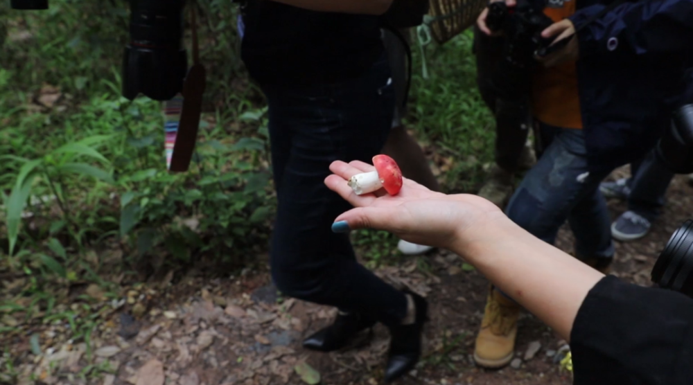 国产AV一区二区三区无码野战:03-14-19-34-39-46J:33,探索国产影音文化,从一区到三区无码的演变与深度解析