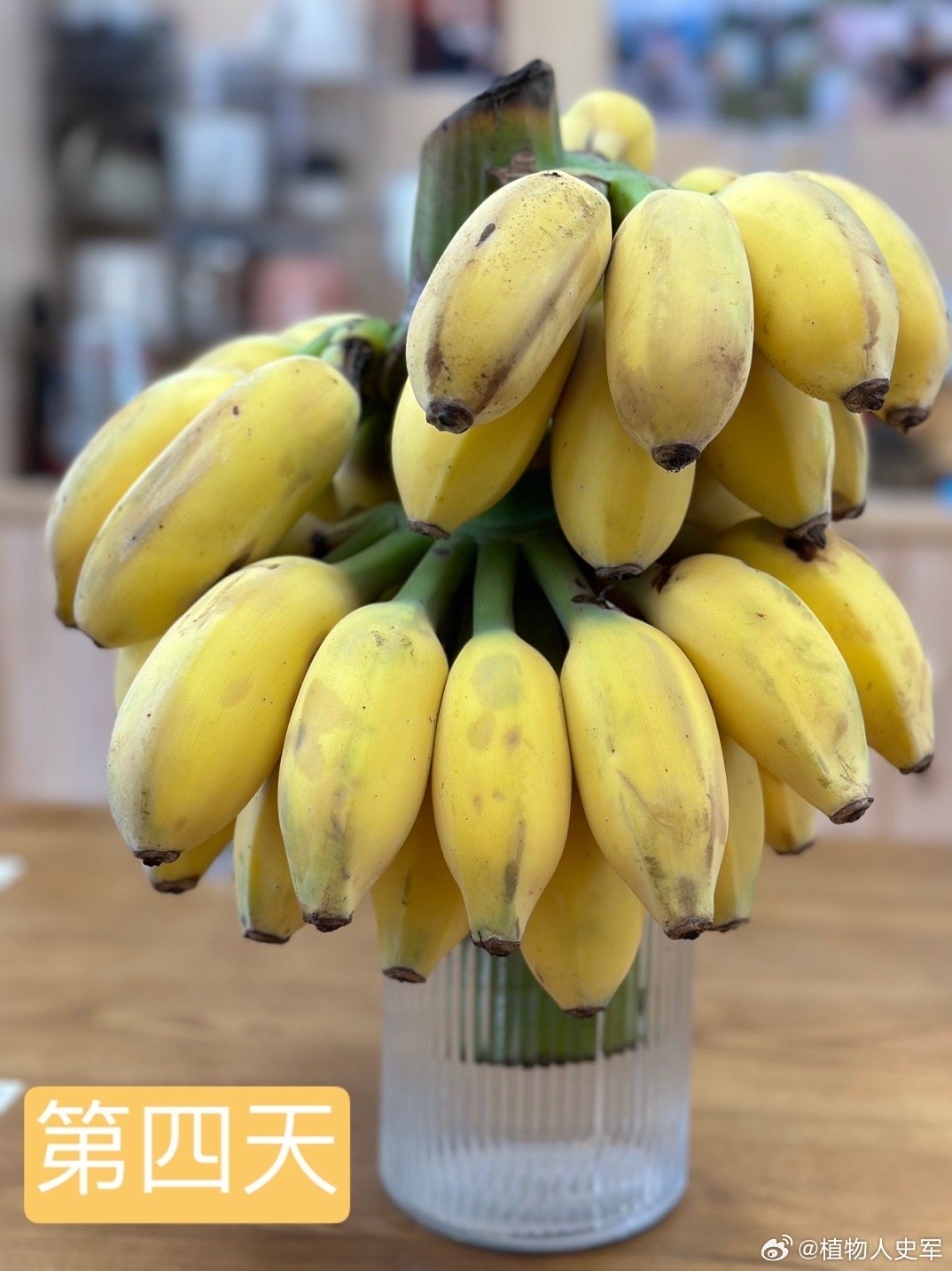 7777精品伊人久久久大香线蕉:01-36-37-43-44-45J：45,探索数字背后的故事，伊人久久久大香线蕉与数字7777的奥秘