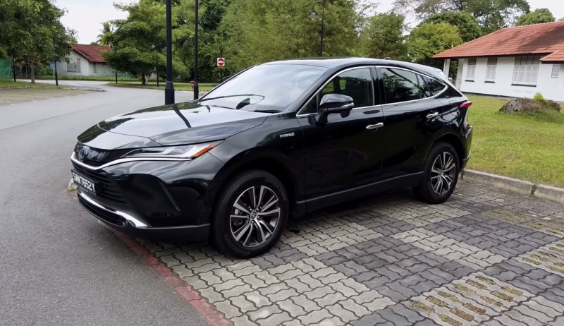 A级国产乱理伦片在线播放:05-18-21-24-25-45W：31,探索A级国产乱理伦片在线播放的新视界（关键词深度解析）