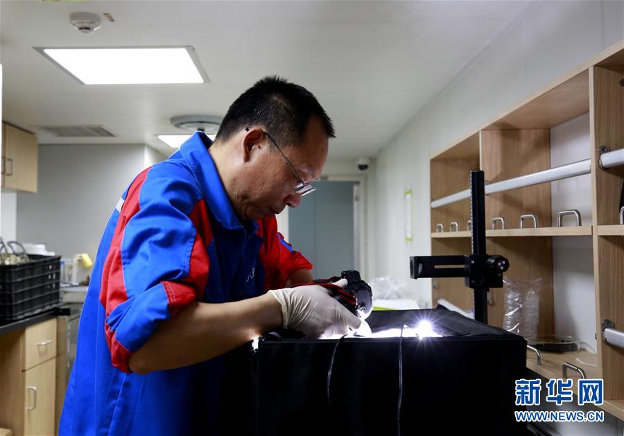 国产一级毛片高清完整视频版:03-14-19-34-39-46J：33,国产一级毛片高清完整视频版，探索与反思