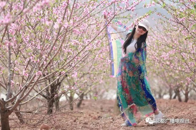 色综合久久久久综合体桃花网:08-21-26-34-38-42K：45,探索色综合久久久久综合体桃花网的世界，一场多维度的奇妙之旅