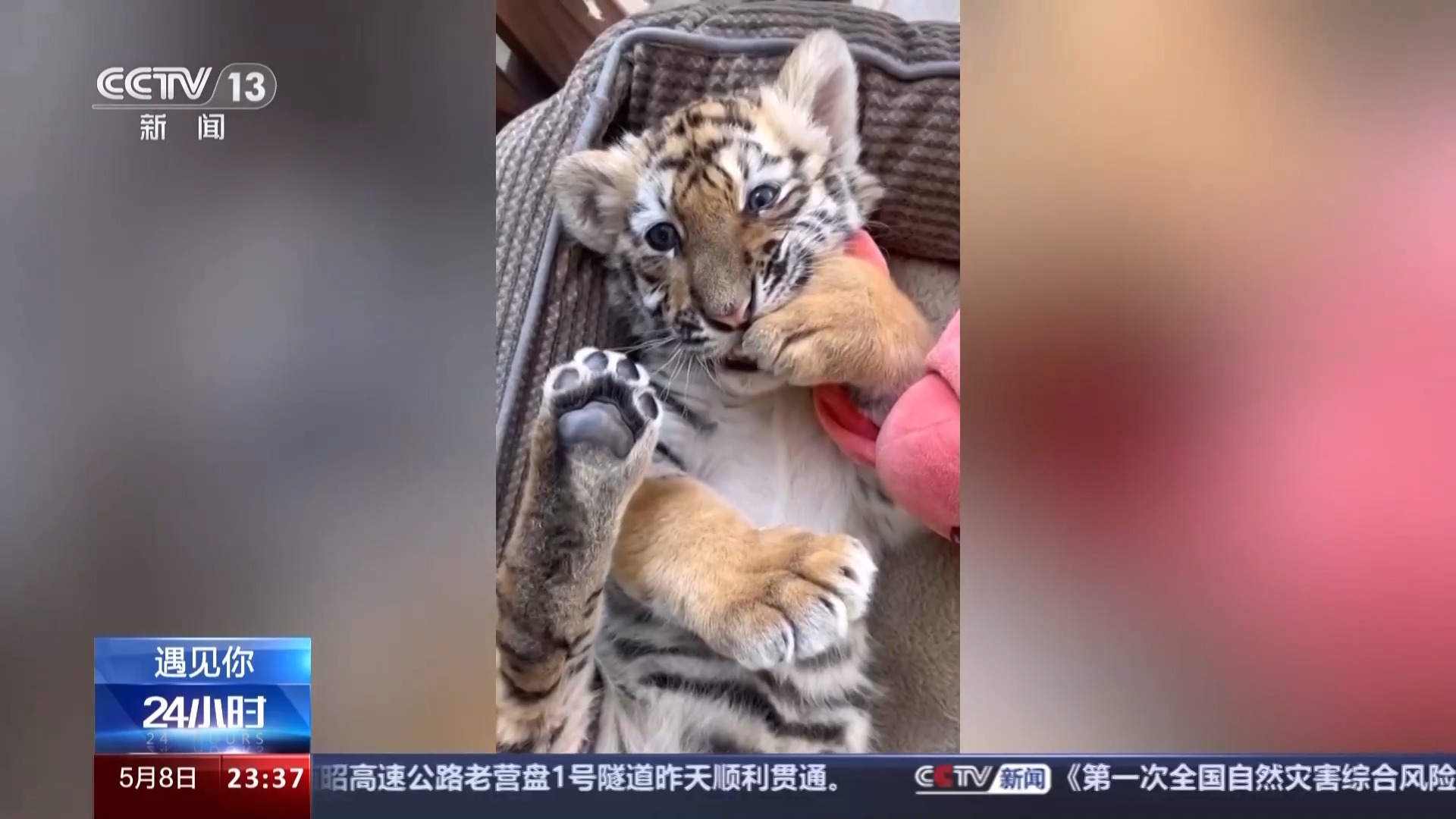 四虎永久在线精品免费观看视频:07-16-19-36-37-45L:20,四虎永久在线精品免费观看视频,探索优质内容的无界共享