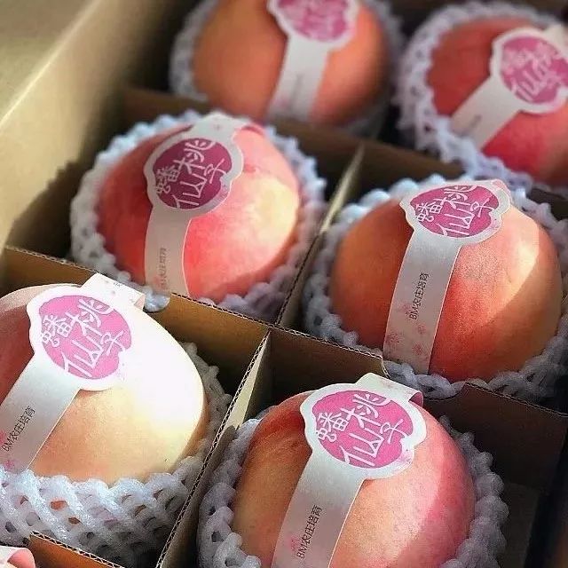 精品无码久久久久久久久水蜜桃:06-24-25-37-46-49Z:09,探索精品无码水蜜桃的世界,一场深度体验之旅