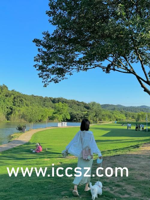 人困马乏 第3页