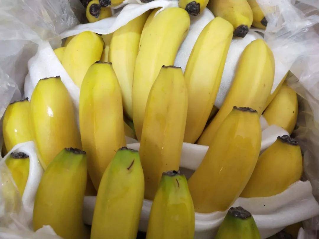 国产精品香蕉在线观看:17-20-24-30-32-49G：46,关于国产精品香蕉在线观看的探讨——以不同型号与体验为核心的分析