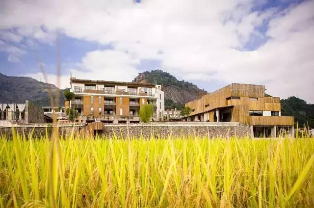 国产乱子伦无套一区二区三区:02-06-20-23-45-49G：06,国产乱子伦无套一区二区三区的深度探索，一场跨越时空的文化解读（02-06-20-23-45-49G时代）