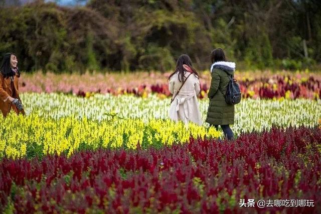 久久精品国产乱子伦:07-18-19-26-33-45X：29,久久精品国产乱子伦，探索与反思