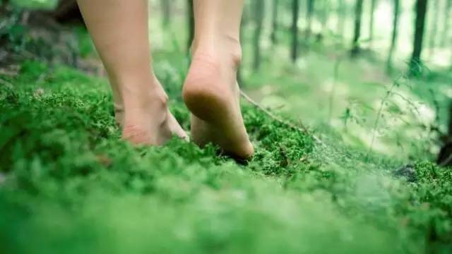 水蜜桃AV无码一区二区:20-21-22-23-39-47W:15,探索水蜜桃AV的魅力,一区到二区的奇幻之旅