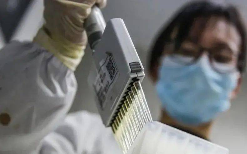 豺狼当道 第4页