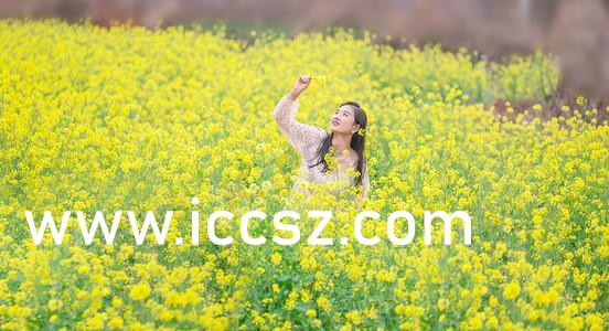 在线观看免费AV无码不卡:02-09-26-31-45-49D：23,在线观看免费AV无码不卡，探索优质视频流媒体的新时代