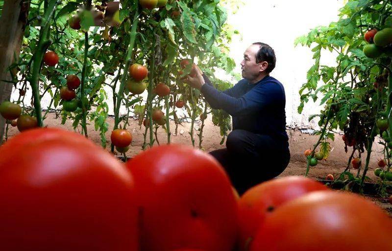 黄桃AV无码免费一区二区三区:08-13-19-27-35-37T:09,探索黄桃AV无码的世界,一区、二区、三区的独特魅力(含特定时间标记)