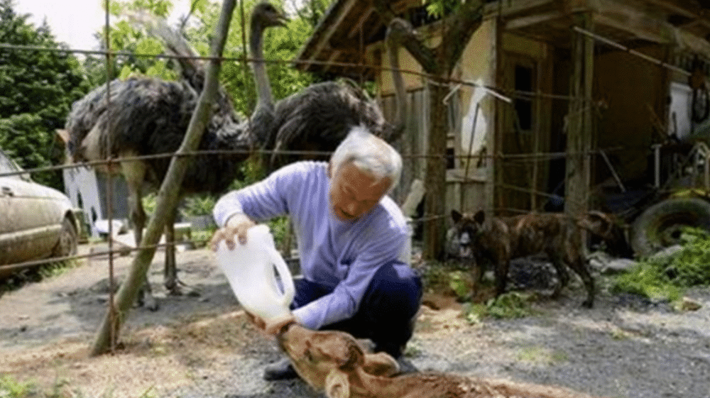 精品深夜AV无码一区二区老年:03-19-21-22-40-49J:48,探索精品深夜影音娱乐,老年群体的独特偏好与选择