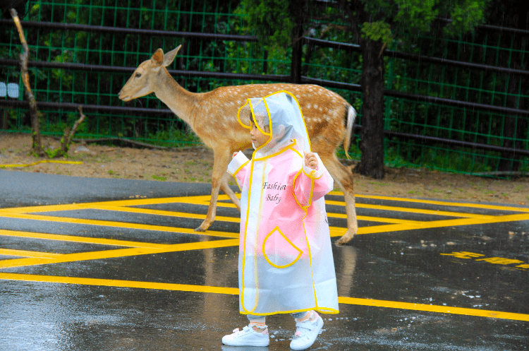 精品国产一区二区三区久久狼:09-18-25-27-38-48J：41,探索精品国产影视的魅力，一区二区三区与久久狼的独特体验