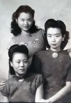 日韩成人一区二区三区在线观看:02-04-08-18-23-46C：26,日韩成人一区二区三区在线观看，探索成人娱乐的新领域