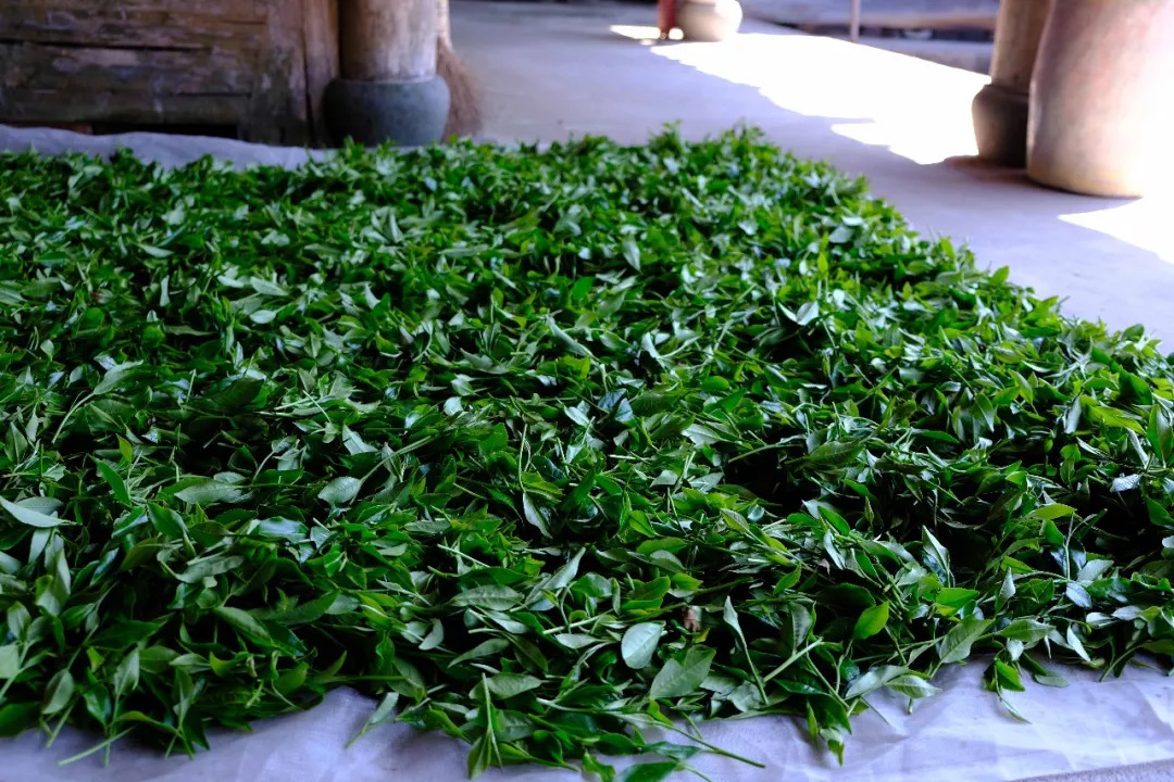 国产成人综合野草:20-32-37-38-44-49P:10,国产成人综合野草,探索与欣赏