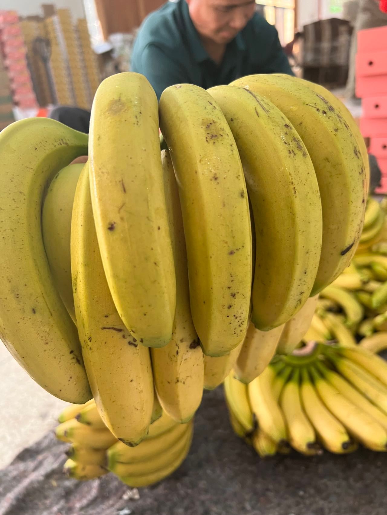 精品国产品香蕉在线:12-17-22-24-30-45H:46,精品国产品香蕉在线,品质卓越,服务至上