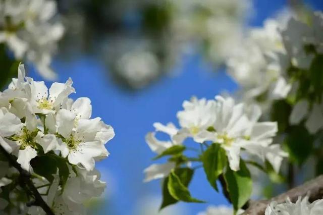 亚洲综合狠狠丁香五月:06-08-15-29-44-49A：33,亚洲综合之力与五月丁香的绚烂，一场时空交织的探寻之旅