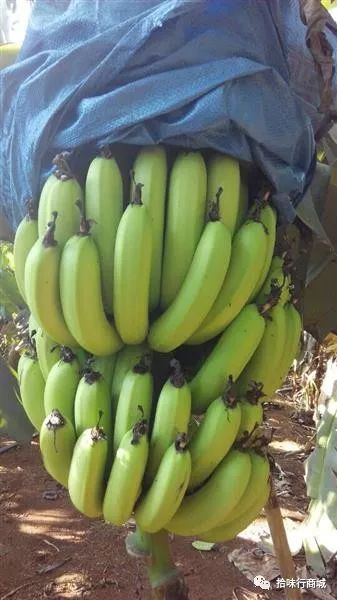 2025年4月7日 第37页