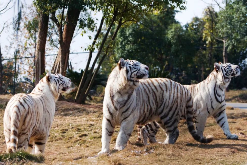 蝇头微利 第3页