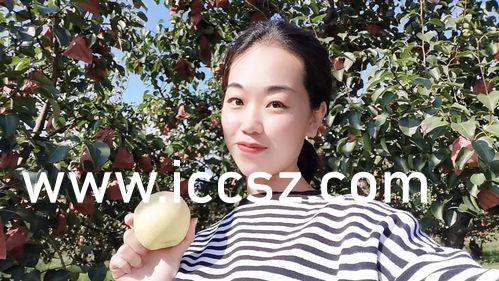 国产精品美女久久久久网站浪潮:11-31-33-36-39-49P：14,国产精品美女网站浪潮，探索美丽与内容的完美融合