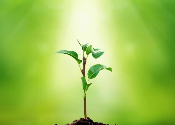 欧美一本大道卡2卡3卡4卡:01-04-18-22-35-41X:04,欧美一本大道卡,探索卡2至卡41X的神秘之旅(01-04-18-22-35-41X,04)