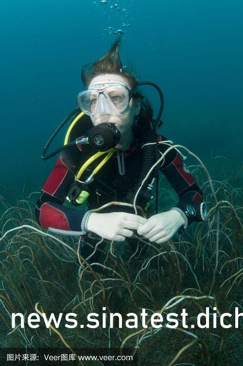 末成年女A∨片一区二区:18-20-22-30-41-49T:42,关于末成年女A片一区二区的探讨与警示