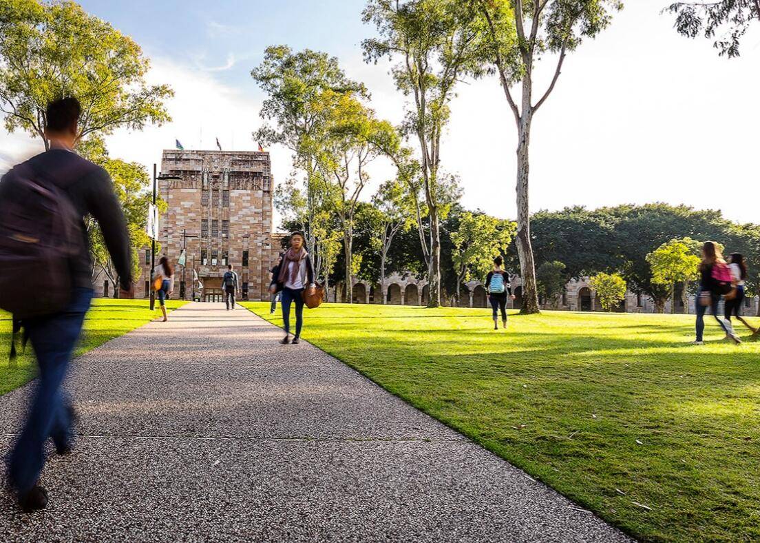 久久大香香蕉国产免费网vrr:15-18-22-32-36-44T：13,久久大香香蕉国产免费网，探索香蕉产业的魅力与机遇