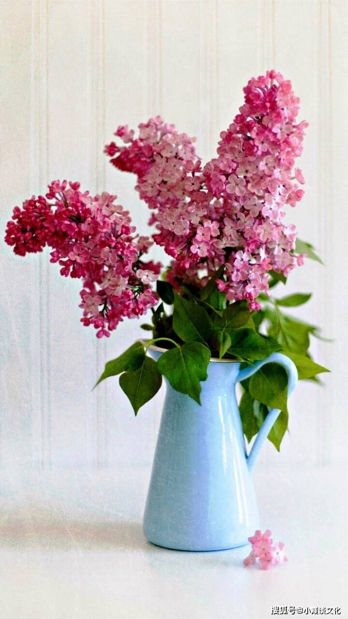 丁香六月久久婷婷开心:05-11-15-16-35-38V：37,丁香六月，久久婷婷的开心时光