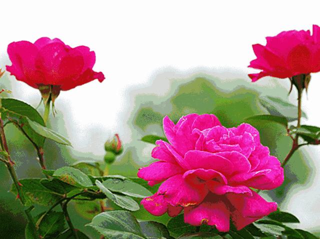 久久久久九九精品影院:10-15-19-20-35-49D：21,久久久久九九精品影院，探索无尽的电影魅力与独特体验（21世纪的影视新纪元）