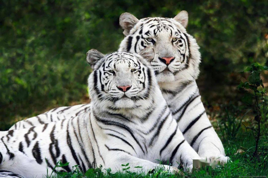 鞍前马后 第3页