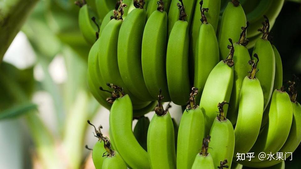 亚洲国产香蕉碰碰人人:05-09-17-27-35-46K：10,亚洲国产香蕉碰碰人与数字密码，一场奇妙的探索之旅