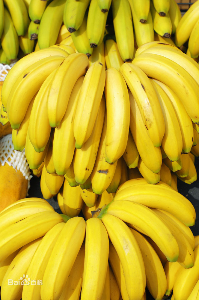 伊人久久大香线蕉无码:15-18-22-32-36-44T：13,伊人久久大香线蕉的世界，探索与赏析