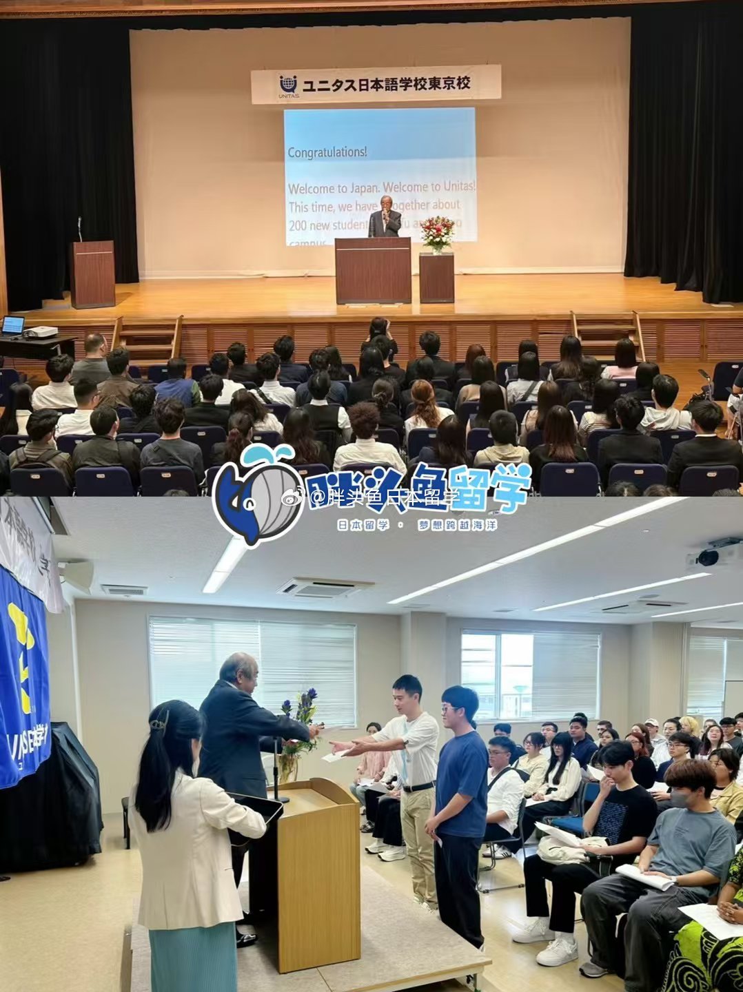 99欧美日本一区二区留学生:05-06-10-28-39-44L:46,跨越国界的留学生故事,欧美日本一区二区的文化碰撞与融合