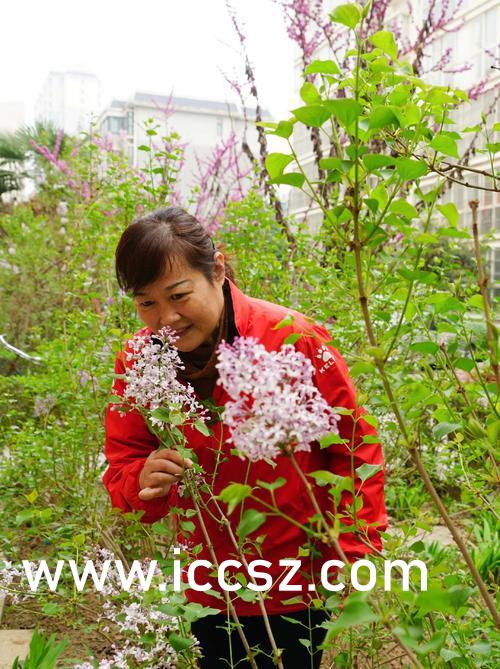 欧美精品狠狠色丁香婷婷:06-16-18-23-32-37T:20,欧美精品文化深度探索,色彩、丁香与婷婷的交融之美