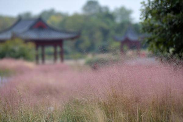 日本乱子伦一区二区三区:07-08-15-18-32-34D：22,日本乱子伦一区二区三区，深度探索与解析