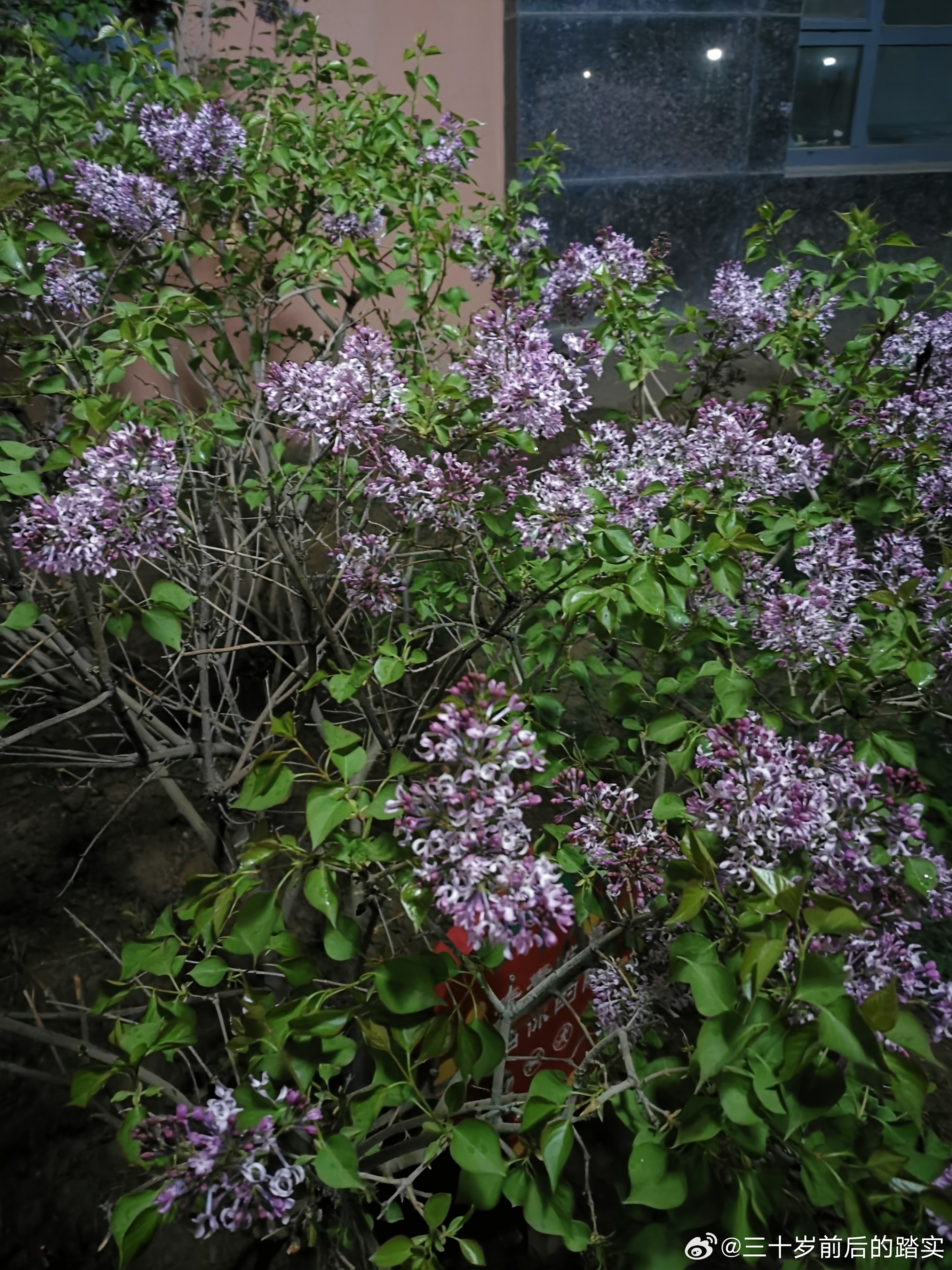 久久综合五月丁香久久激情:05-17-19-20-21-49U:25,久久综合五月丁香,激情四溢的探寻之旅(05月激情绽放)